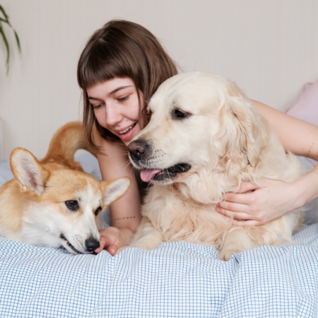5 Must-Have Pet Products Every Pet Parent Needs