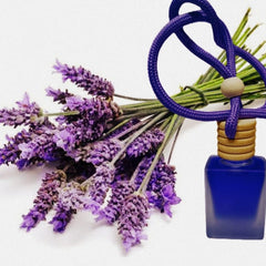 Hanging Car Perfume Pods Diffuser Scent (Pack of 1 Assorted Perfume)